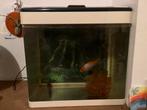 Kleine Visbak met 2 filters, Ophalen, Zo goed als nieuw