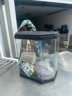 Aquarium, Animaux & Accessoires, Poissons | Aquariums & Accessoires