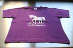 paarse t-shirt eenhoorn maat 122, Enfants & Bébés, Vêtements enfant | Taille 122, Enlèvement ou Envoi, Comme neuf, Fille, Chemise ou À manches longues