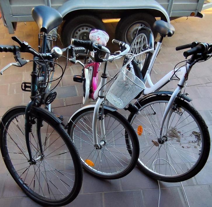 Fietsen, Fietsen en Brommers, Fietsen | Driewielfietsen, Ophalen