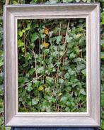 Klassieke Kader, Ophalen of Verzenden