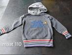 Hoodie maat 110, Kinderen en Baby's, Ophalen of Verzenden, Gebruikt, Jongen, Trui of Vest