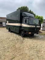 Camion à chevaux Mercedes pour 4 chevaux, Autres types, Autres matériaux, Enlèvement, Utilisé