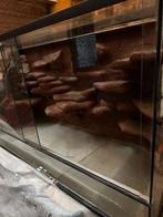 Terrarium, Dieren en Toebehoren, Overige Dieren-accessoires, Ophalen, Gebruikt