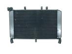 RADIATEUR Yamaha MT 09 2018-2020 (MTN850-A MT-09), Gebruikt