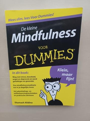 De kleine Mindfulness voor Dummies disponible aux enchères