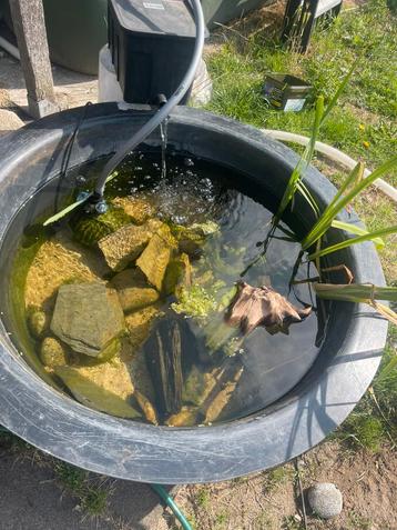 Klein vijvertje met filter planten en decoratie, Enlèvement, Comme neuf
