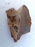 190 gram zware fossiel hout versteend Autun 12 €, Ophalen of Verzenden, Fossiel
