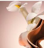 Mooie lieve vrouw zoekt stabiele relatie, Contacten en Berichten, Vrouw zoekt Man