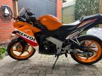 Honda CBR 125R Repsol - Topstaat, Motoren, Motoren | Honda, 125 cc, 11 kW of minder, 1 cilinder, Sport