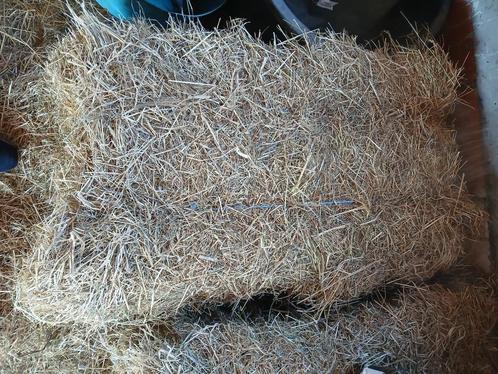 Hooi te koop, Dieren en Toebehoren, Dierenvoeding, Ophalen