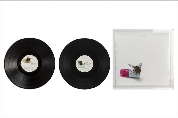 Damien Hirst gesigneerde LP voor RHCP-in plexibox, Antiek en Kunst, Kunst | Overige Kunst, Ophalen of Verzenden