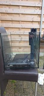 Super fish 60 liter cube aquarium, Animaux & Accessoires, Poissons | Aquariums & Accessoires, Enlèvement