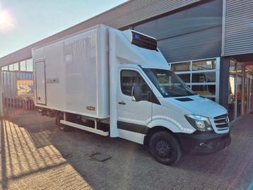 Mercedes-Benz Sprinter 519 CDI 3.0 V6 Koelkoffer LBW 1000 KG beschikbaar voor biedingen