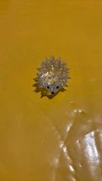 Kristallen egeltje 4cm, Ophalen, Zo goed als nieuw