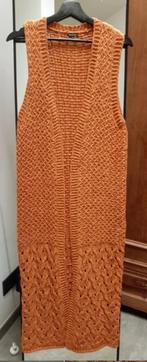 Gilet merk Caroline Biss, Caroline Biss, Ophalen of Verzenden, Nieuw