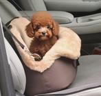 Draagtas / autotas voor hond / kat, Ophalen of Verzenden, Nieuw