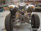 qaud Barrossa 250 cc 6 versnellingen 4 takt, Motoren, 2 cilinders, 250 cc, 11 kW of minder