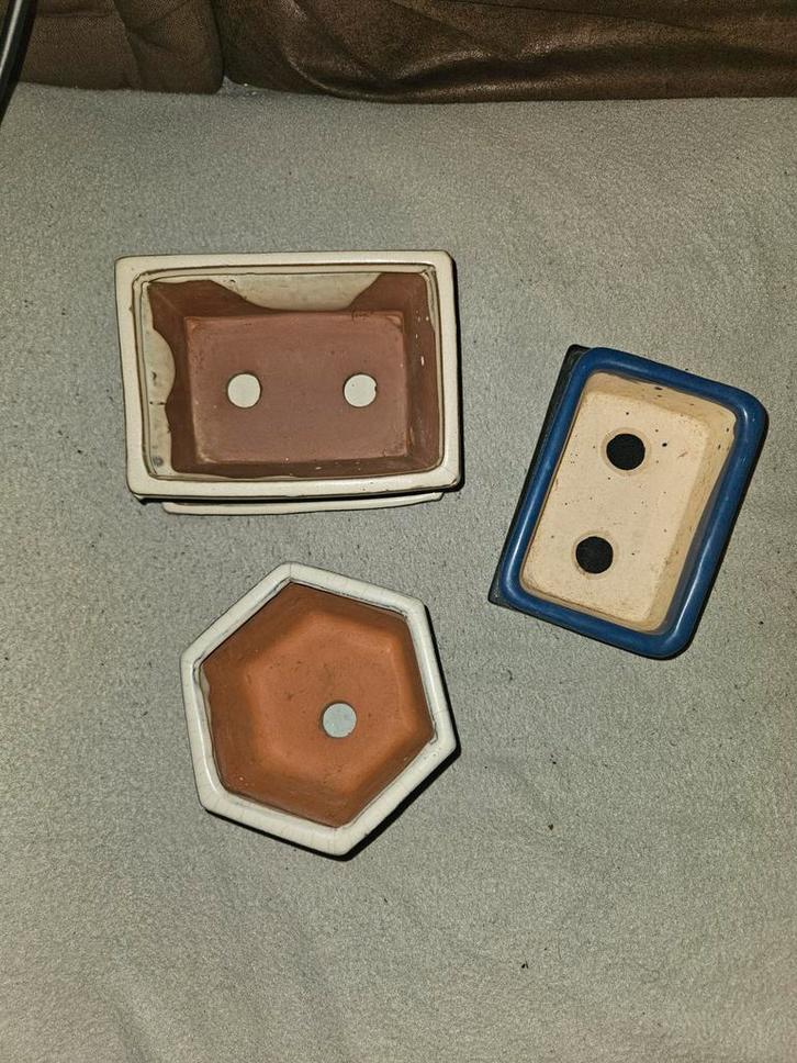 Verzameling bonsai potjes, Tuin en Terras, Bloempotten, Ophalen