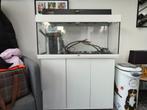 Aquarium Juwel Rio 180 LED wit, gebruikt maar zeer mooi, Dieren en Toebehoren, Ophalen, Zo goed als nieuw, Leeg aquarium