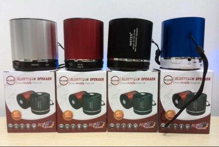 WSTER WS-231BT MP3, FM, USB, Bluetooth draagbare luidspreker, Audio, Tv en Foto, Luidsprekerboxen, Ophalen of Verzenden