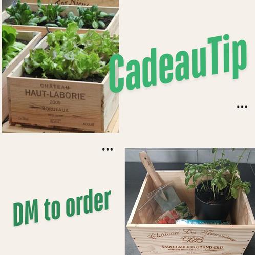 moestuin, Boeken, Wonen en Tuinieren, Nieuw, Moestuin, Ophalen of Verzenden