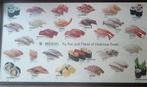 poster sushi, Ophalen