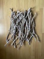 bananensteel stonewashed wit, Huis en Inrichting, Woonaccessoires | Droogbloemen, Ophalen of Verzenden, Nieuw