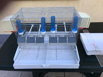 Gages pour oiseaux  beschikbaar voor biedingen