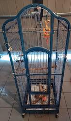 Grande cage à oiseaux, bleue, Deckx, Animaux & Accessoires, Enlèvement, Utilisé, Métal, Cage à oiseaux