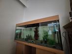 Aquarium juwel 300L, Dieren en Toebehoren, Vissen | Aquaria en Toebehoren, Ophalen, Zo goed als nieuw, Gevuld zoetwateraquarium