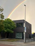 Bomen/ trompetbomen  te koop 30 euro per stuk, Tuin en Terras, Planten | Bomen, Ophalen