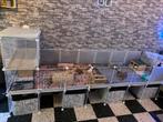 Enclos Modulable pour lapin ou cochon d’Inde + accessoire, Ophalen, Zo goed als nieuw, Kooi, Konijn