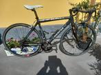 Merckx Campagnolo ,m 53 ,volledig  vernieuwd  van onderdelen, Carbon, Ophalen of Verzenden