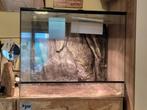 Klein terrarium, Dieren en Toebehoren, Ophalen, Gebruikt, Terrarium of Paludarium