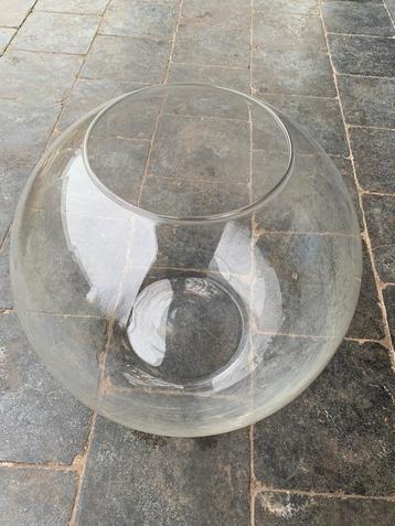 Vis of plantenkom, Dieren en Toebehoren, Ophalen, Gebruikt