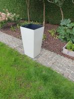 Plantenbak voor binnen of buiten, Ophalen, Zo goed als nieuw, Vierkant, Binnen