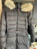 Zwarte dames winterjas , Tommy Hilfiger , S, Tommy hilfiger, Zwart, Ophalen of Verzenden, Zo goed als nieuw