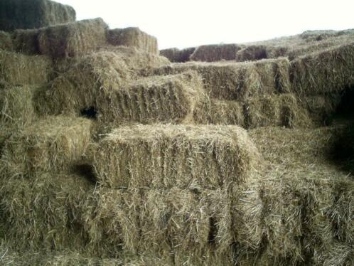 Kleine pakken hooi, Dieren en Toebehoren, Dierenvoeding, Ophalen of Verzenden