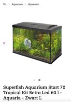 Aquarium vissen, Dieren en Toebehoren, Ophalen, Nieuw, Plant(en), Steen of Hout