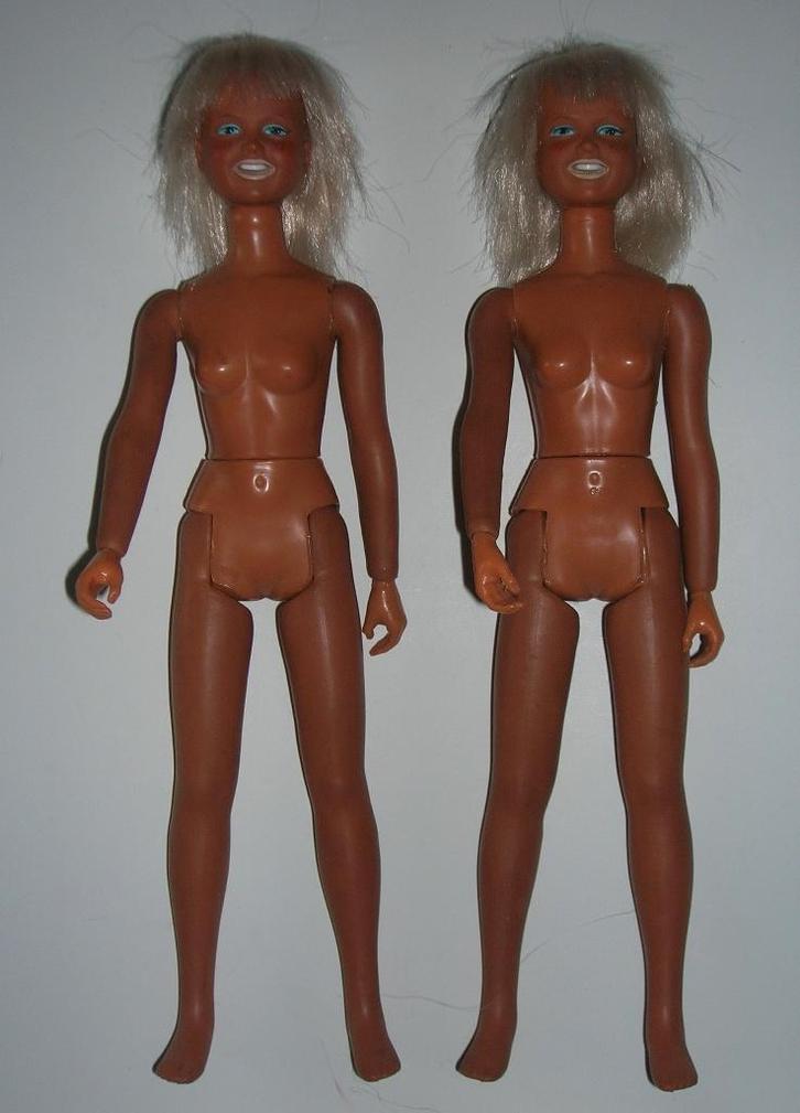 Niet - Barbie poppen, Kinderen en Baby's, Speelgoed | Poppen, Barbie, Ophalen of Verzenden