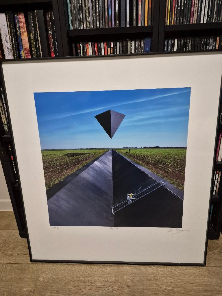 Goose - synrise Storm Thorgerson art print, Antiek en Kunst, Kunst | Schilderijen | Abstract, Ophalen