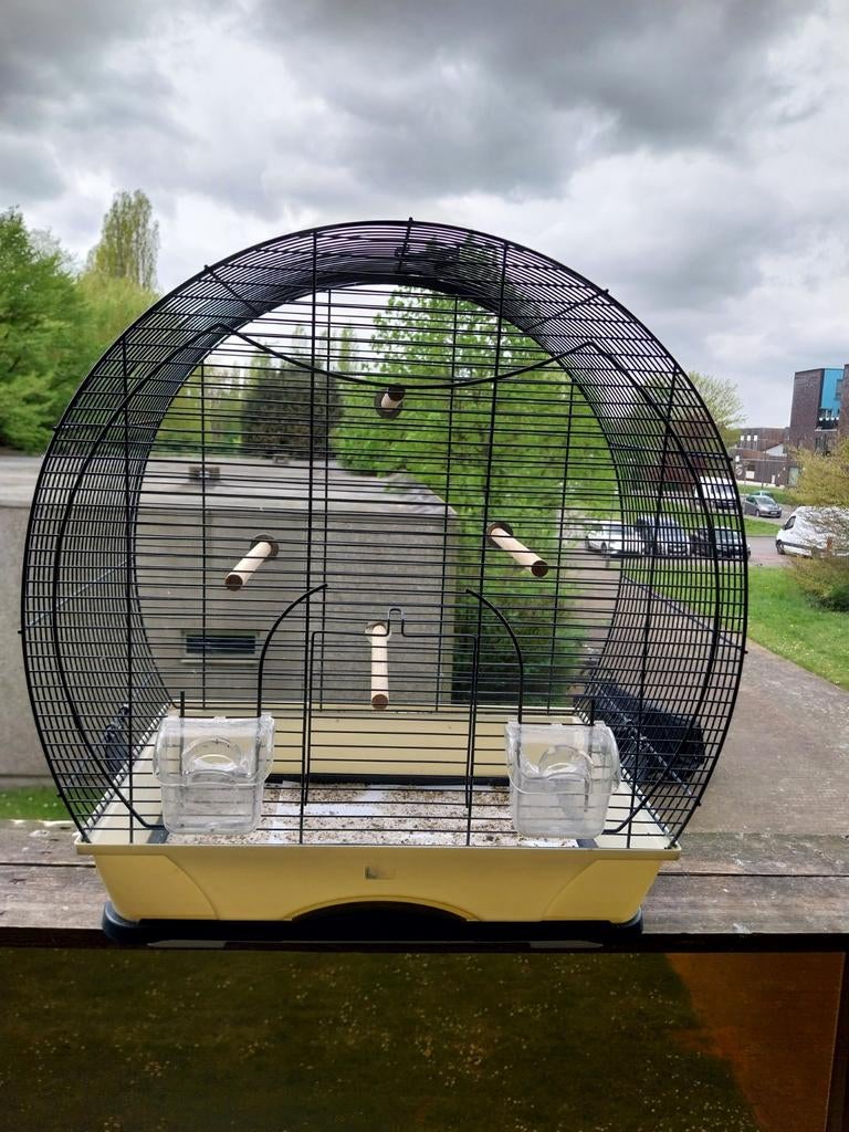 Mooie vogel kooi en staat perfect, Dieren en Toebehoren, Vogels | Hokken en Kooien, Ophalen