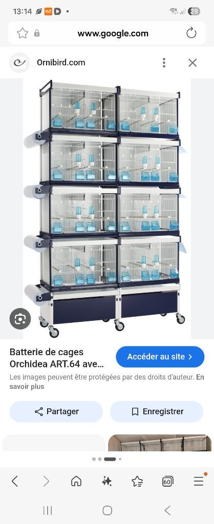Cage d elevage, Enlèvement, Comme neuf, Métal, Cage d'élevage