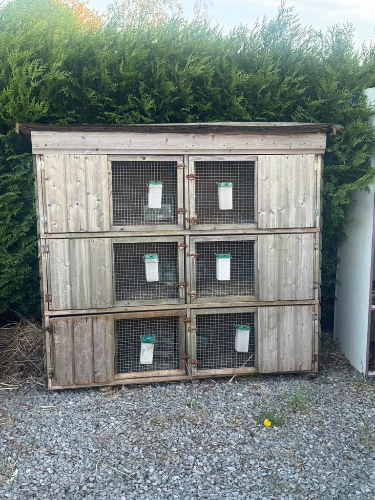 Konijnenhokken Gratis, Dieren en Toebehoren, Ophalen, Gebruikt, Hok, Konijn