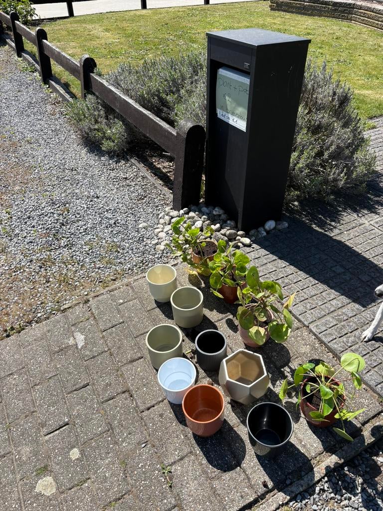 Bloempotten en planten, Ophalen, Zo goed als nieuw