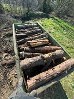 20 kuub brandhout op stam, Tuin en Terras, Brandhout, Ophalen, Stammen