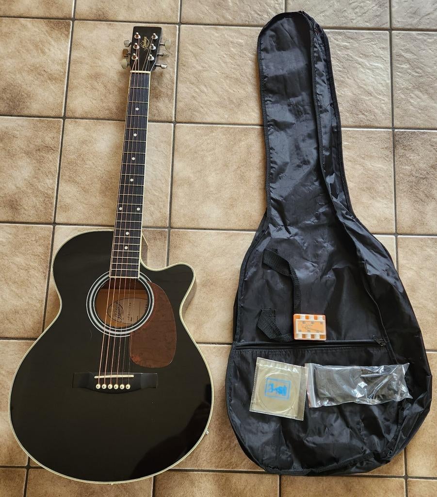 Hudson accoustische guitar, Muziek en Instrumenten, Ophalen