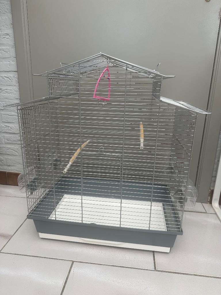 Vogelkooi, Ophalen, Gebruikt, Vogelkooi