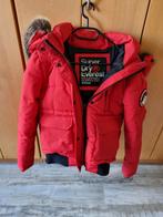 Superdry jas winter maat 38, Superdry, Zo goed als nieuw, Rood, Ophalen